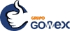 GRUPO GOWEX